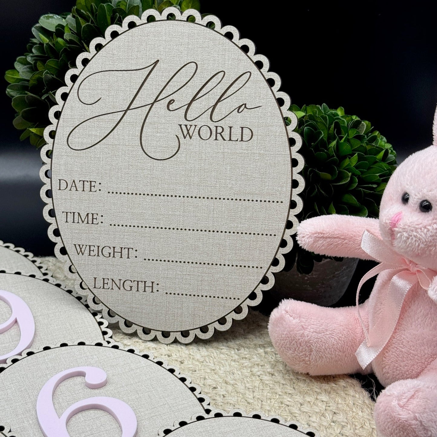 "Linen and Lace" Baby Girl Milestone Photo Prop