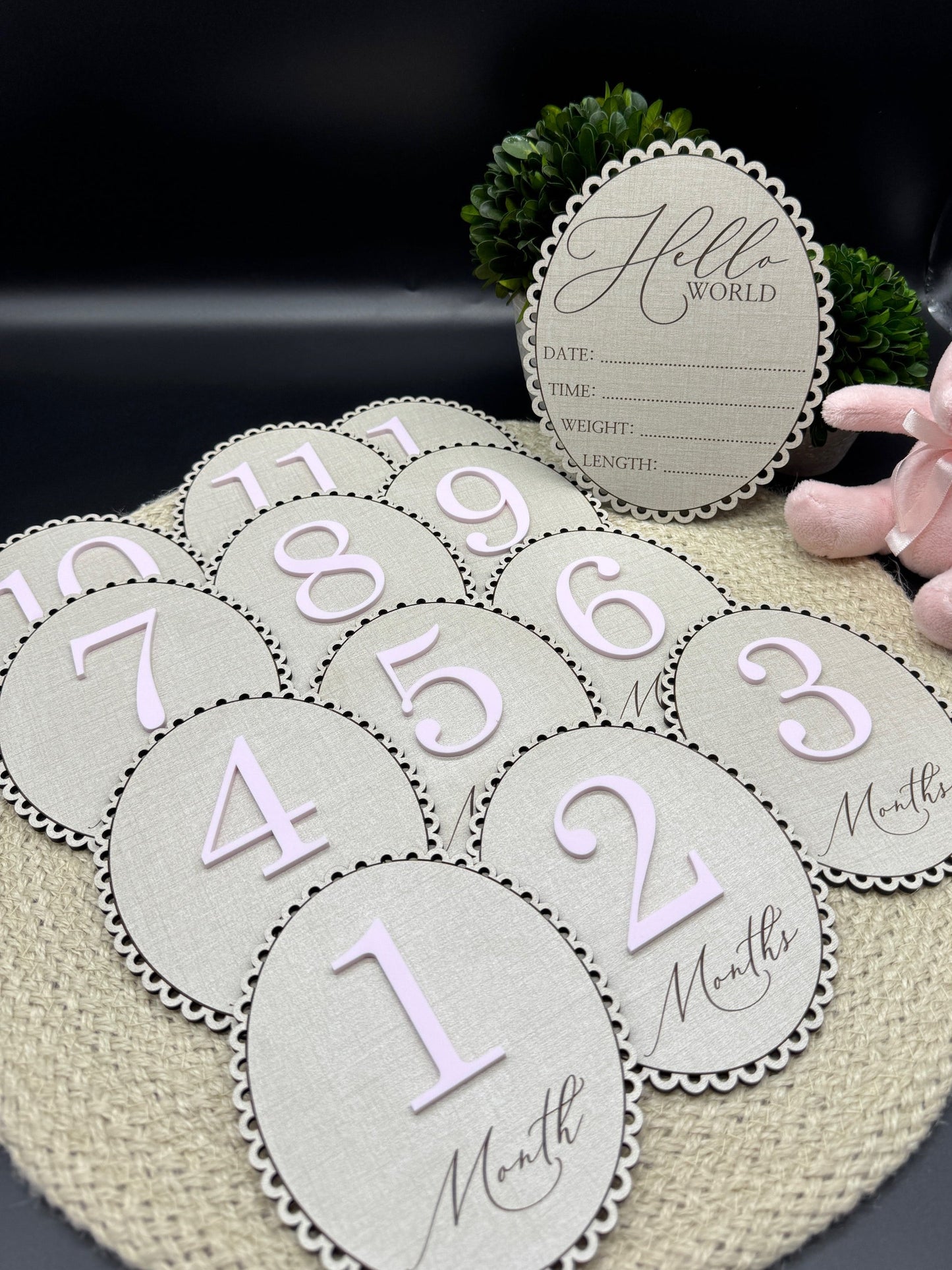 "Linen and Lace" Baby Girl Milestone Photo Prop